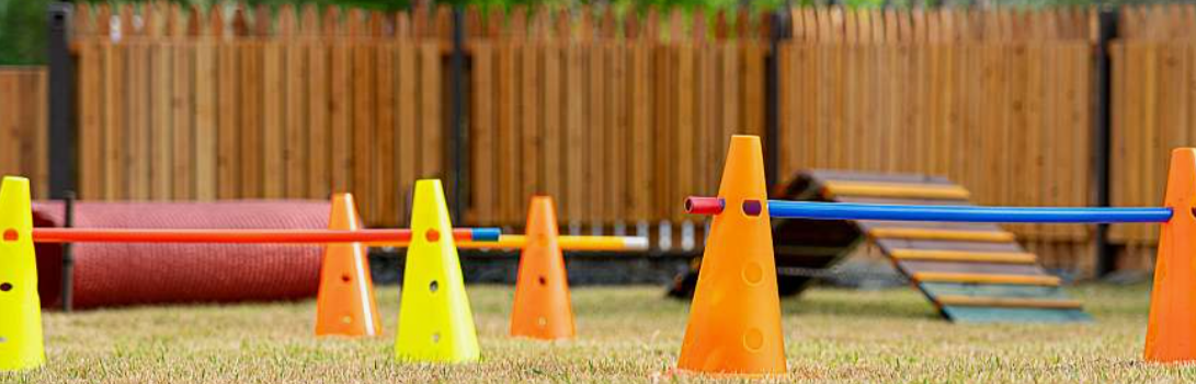 반려견 놀이기구와 비품