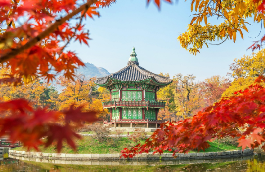 외국인 친구가 감탄한 국내 여행지 소개기