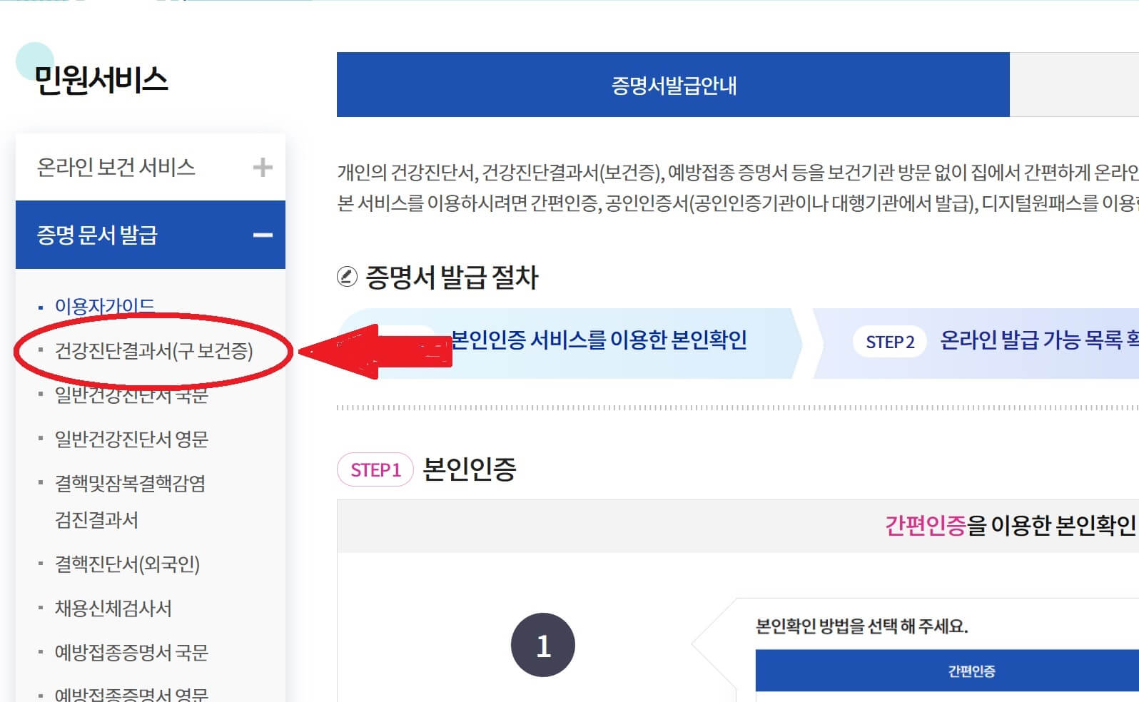 건강진단결과서-발급화면