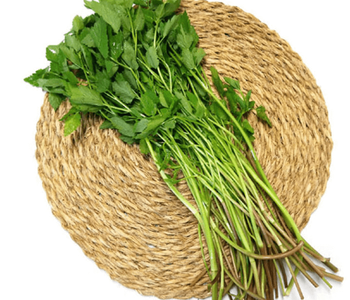 미나리 사진 - 00118