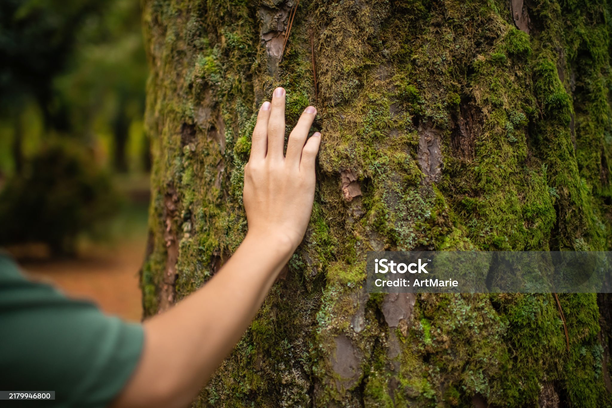 자연에서 힐링 중인 사진
