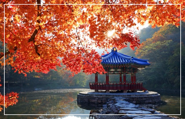내장산 연자정 이미지