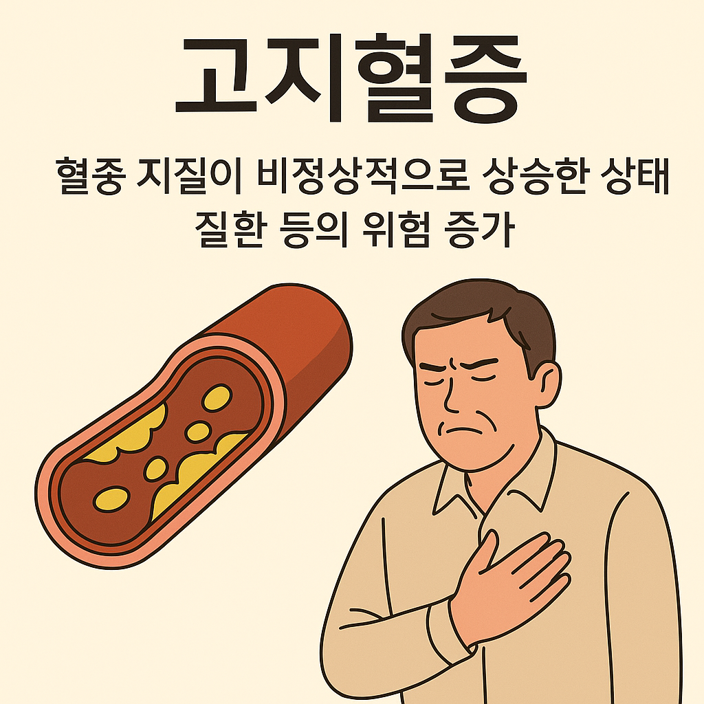고지혈증 관련 사진