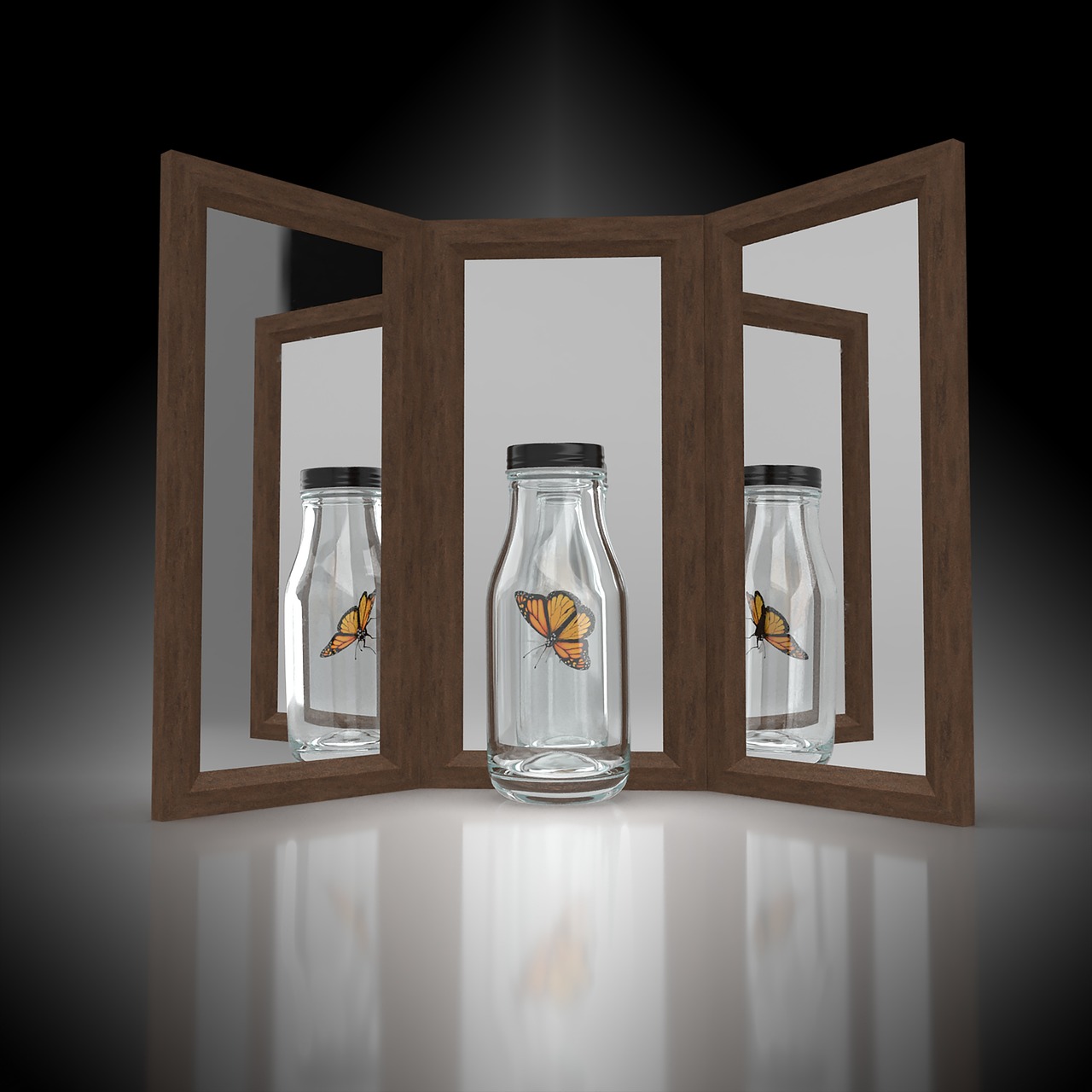 거울에 반복된 병 속 나비