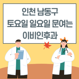 인천 남동구 토요일 일요일 이비인후과 진료 병원 리스트