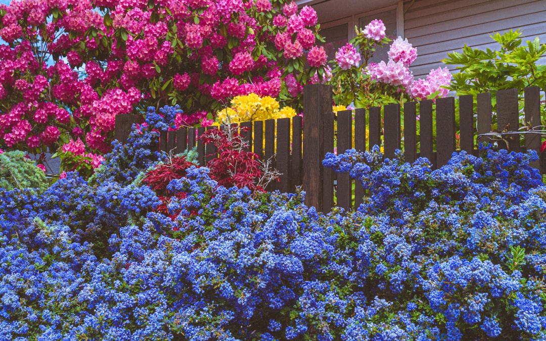 Secret Garden