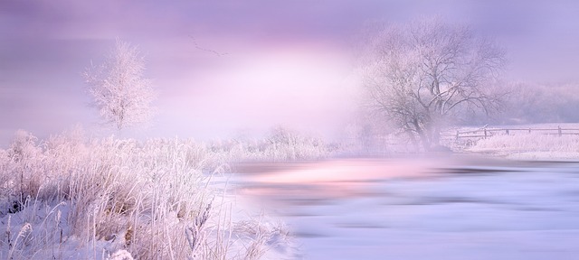 일루전(Illusion) 이란