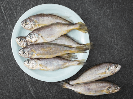 가을철 제철음식 추천