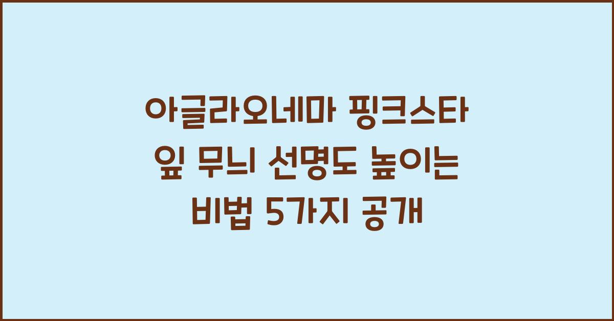 아글라오네마 핑크스타 잎 무늬 선명도 높이는 비법