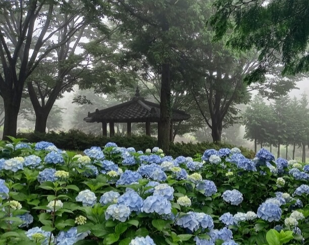 보성 가볼만한곳 베스트 10
