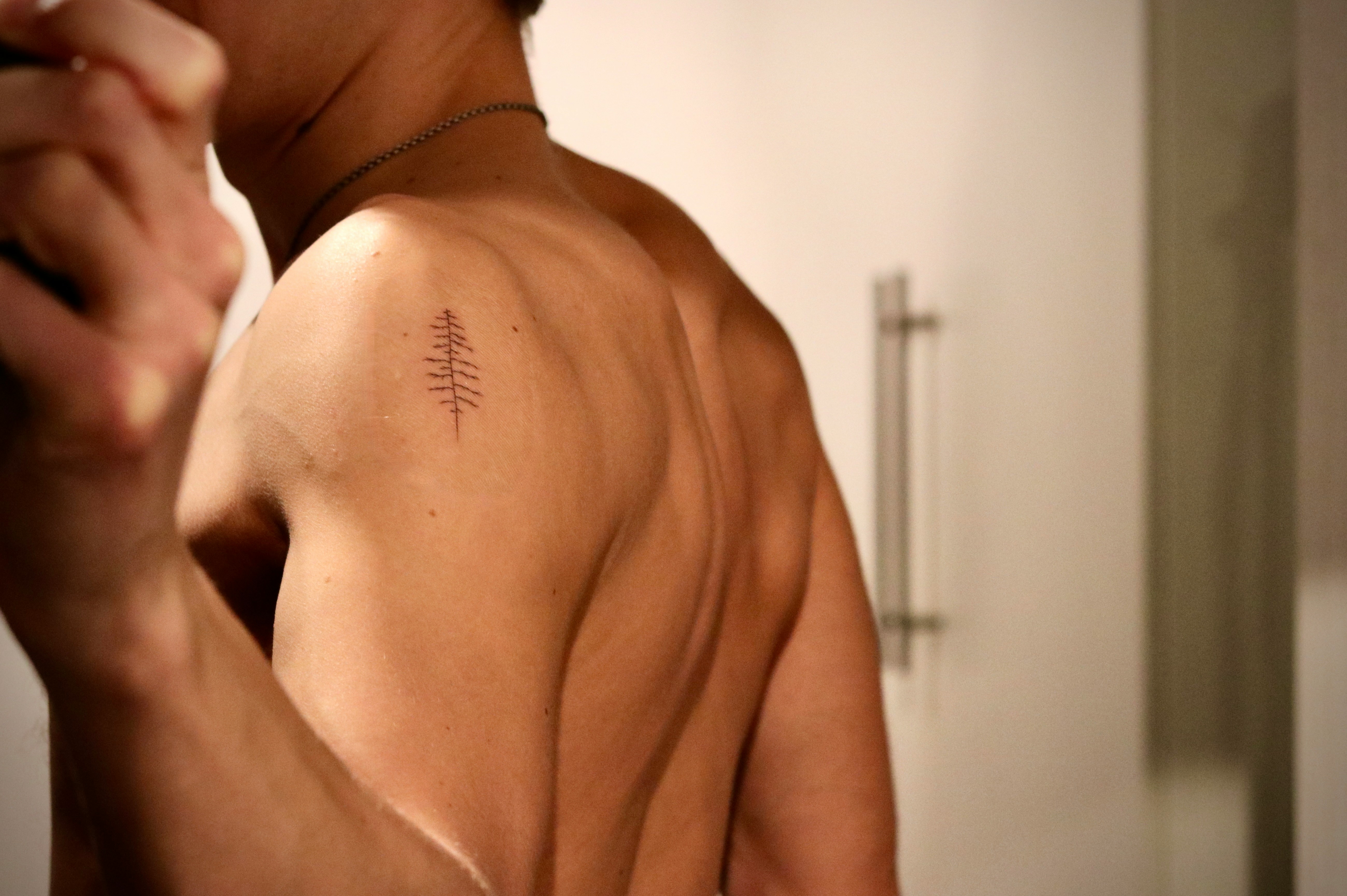 어깨 회전근개파열 6가지 증상 및 수술 비용 (+ 재활운동 질병 코드 원인)