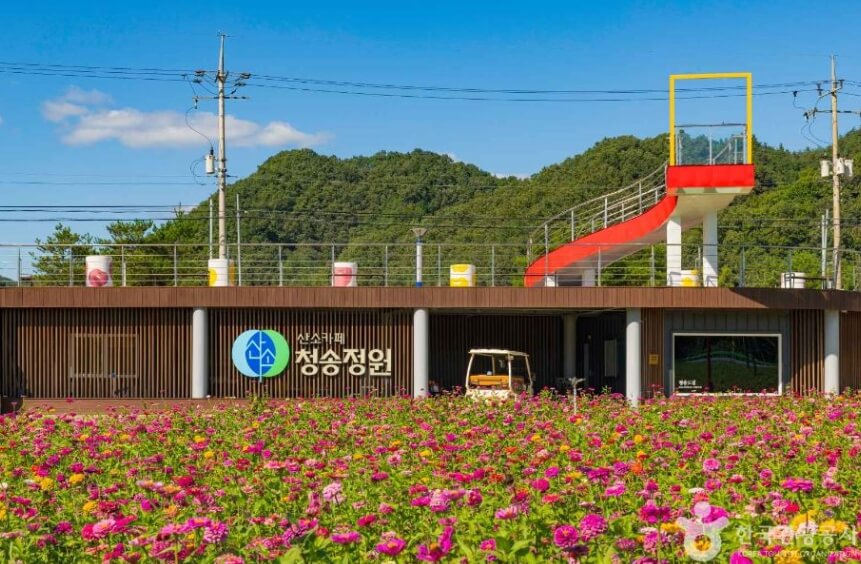 청송 가볼만한곳 베스트 10