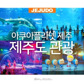 제주도 비올때 가볼만한곳 10곳 추천 실내 관광지로 모음_5