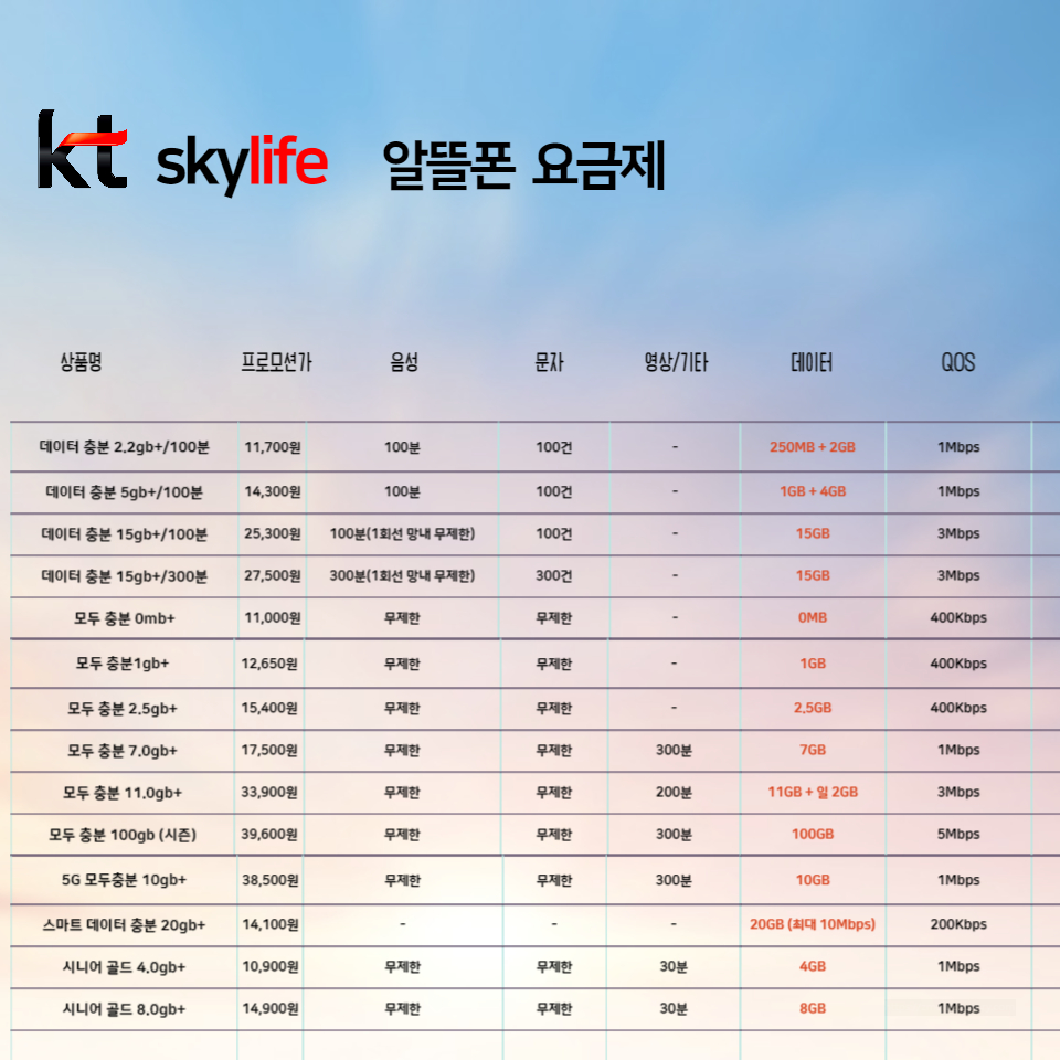비교 요금제
KT스카이라이프( 모두충분 7gb ) 17,500원
KT스카이라이프 (모두충분 100gb) 38,500원
