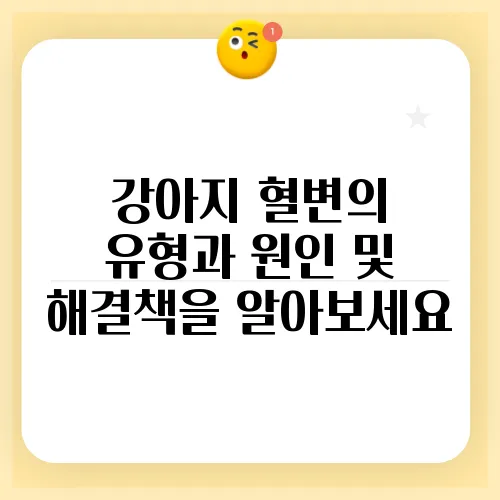 강아지 혈변의 유형과 원인 및 해결책을 알아보세요