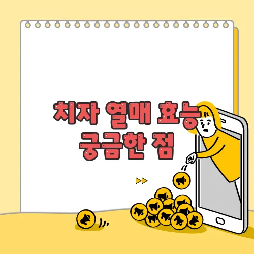 치자 열매 효능  궁금한 점, 풀어보죠