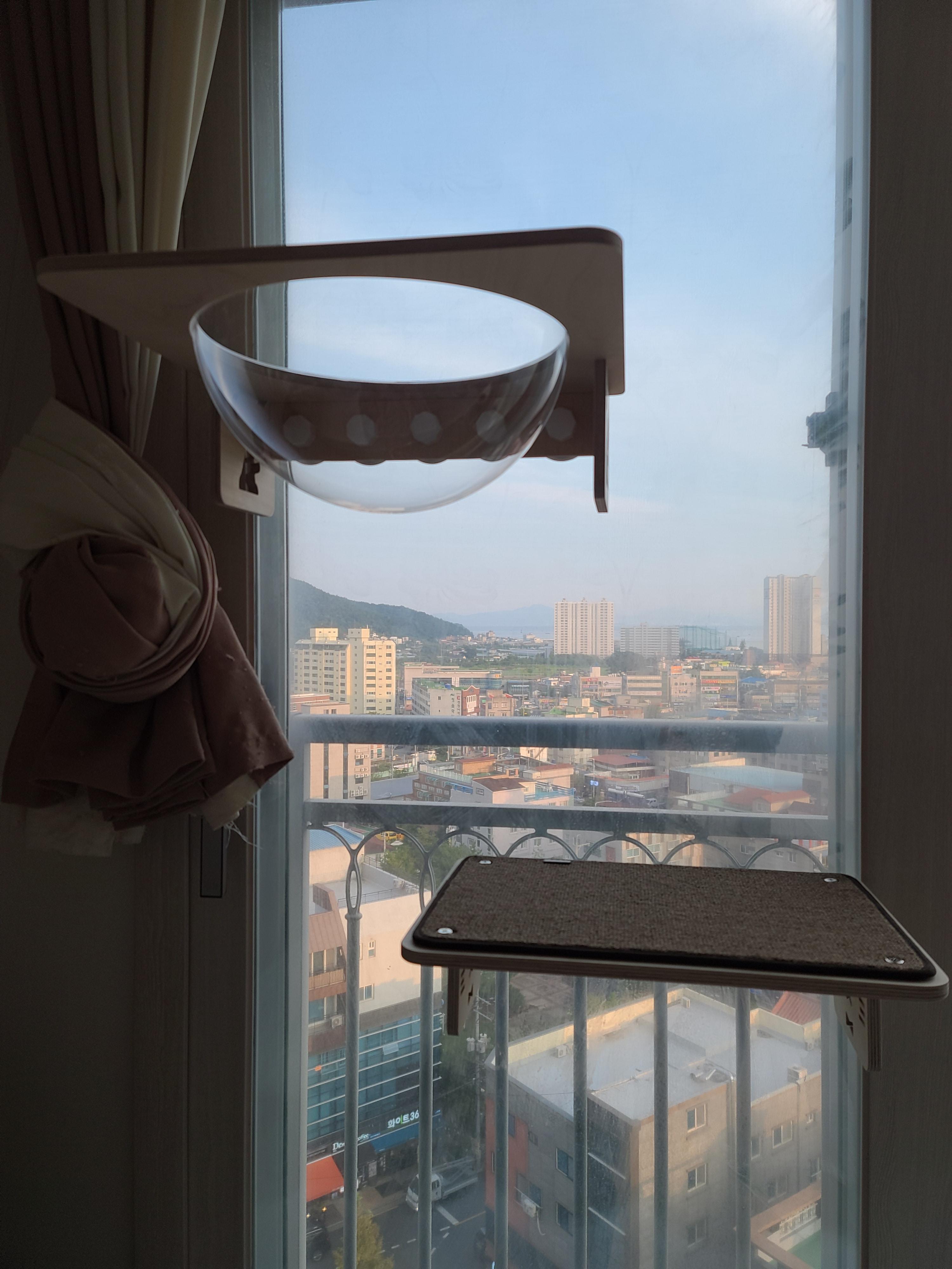 냥냥이들의 캣워크, 캣볼을 달았다. (내돈내산,스압주의)