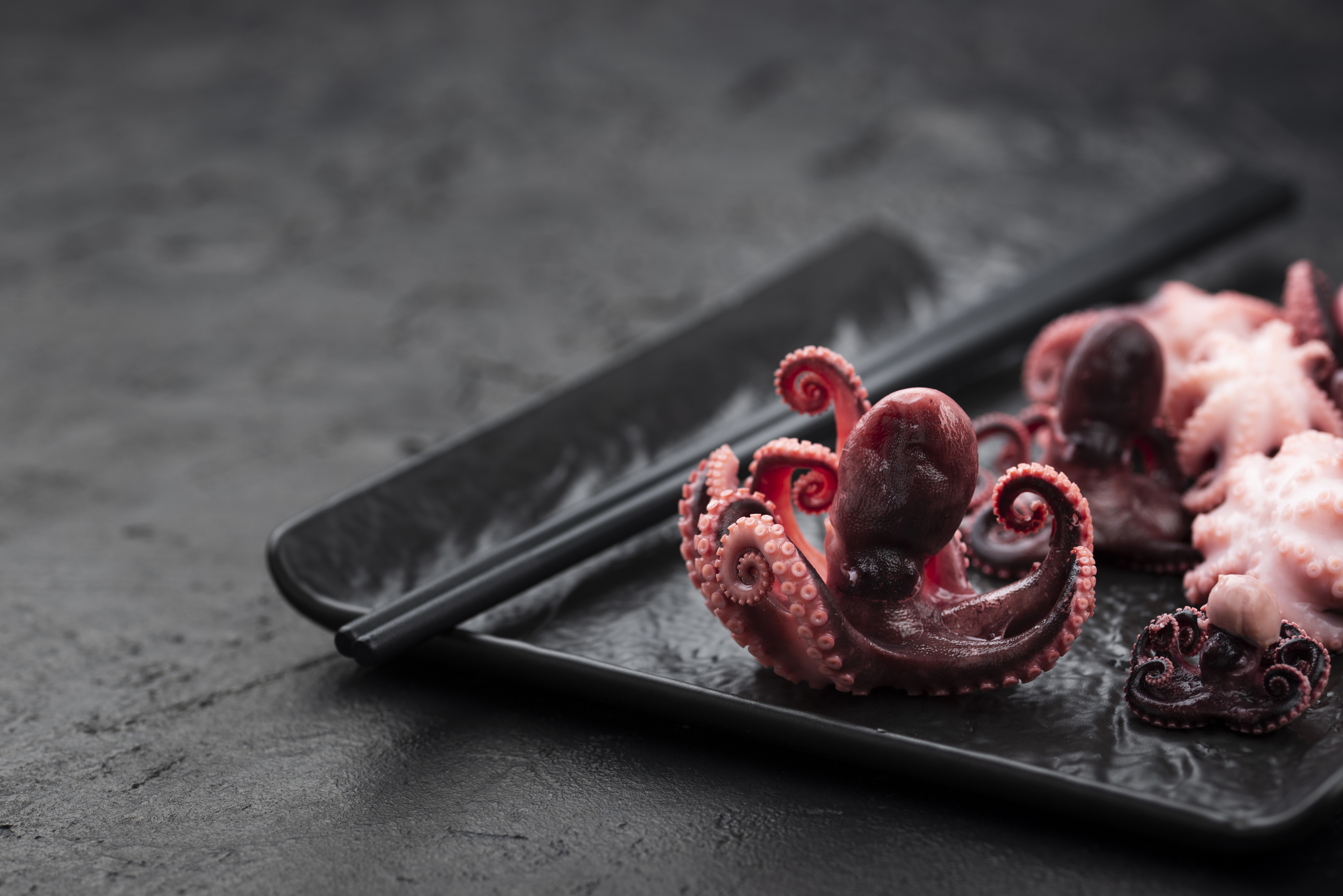 쭈꾸미철 인천 쭈꾸미 낚시 포인트! 쭈꾸미 샤브샤브까지 완벽 즐기기