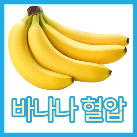바나나 혈압