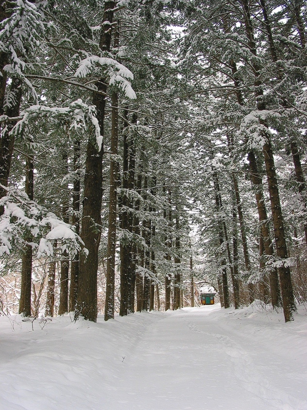 평창 송어축제 주변관광지