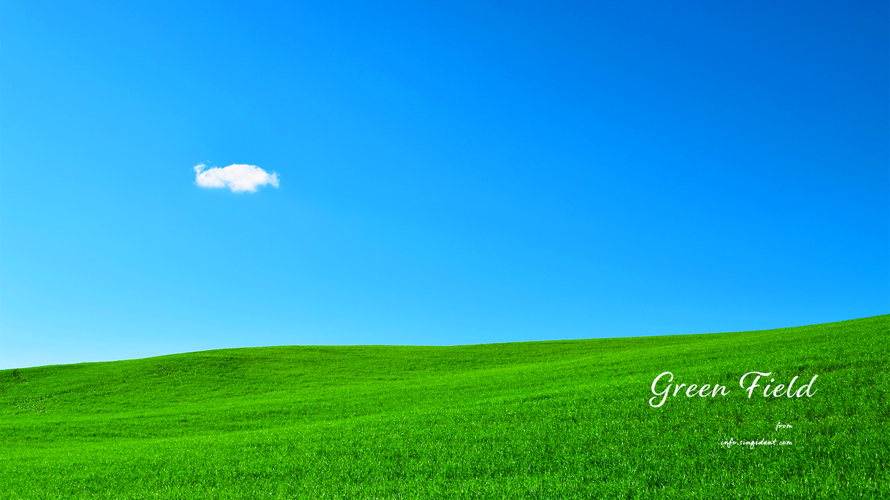01 초록색 들판과 푸른하늘 C - Green Field 봄배경화면