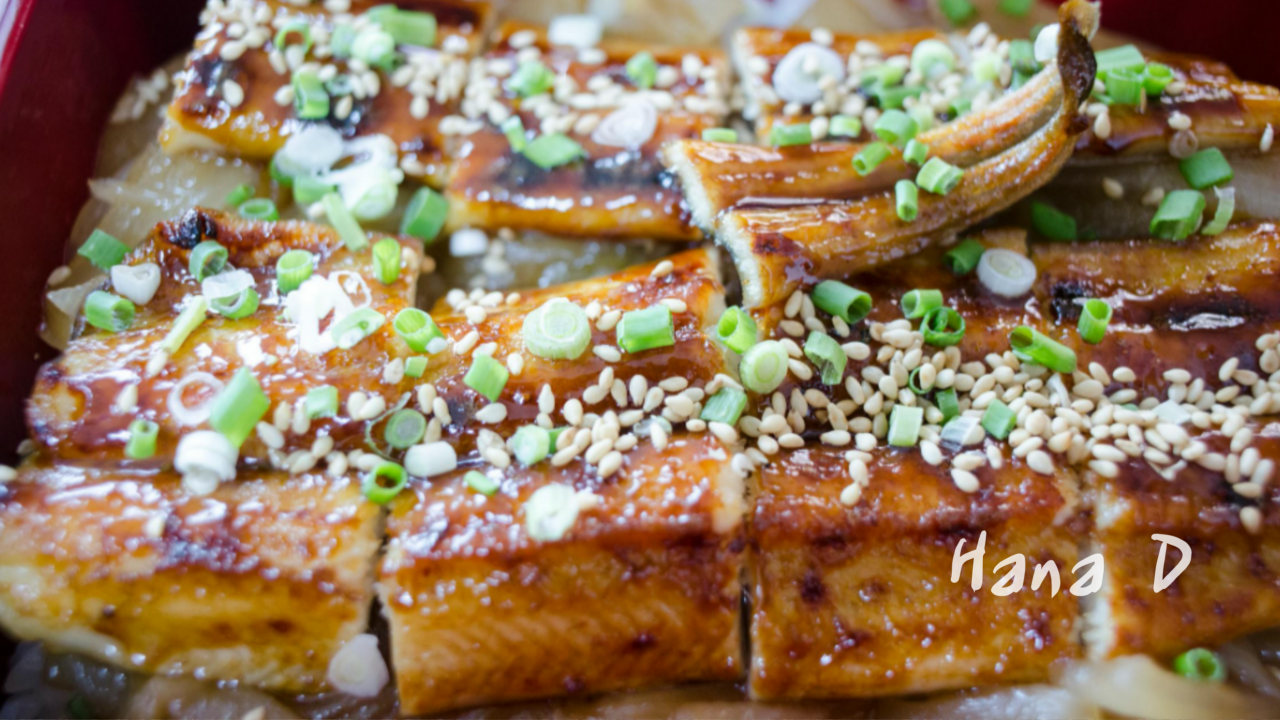 건강과 영양 풍부한 장어