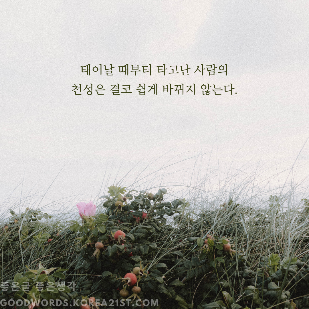 쇼펜하우어 명언 모음 좋은 글귀