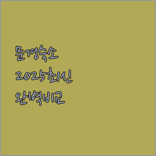 문경 숙소 추천 완벽 비교 2025년..