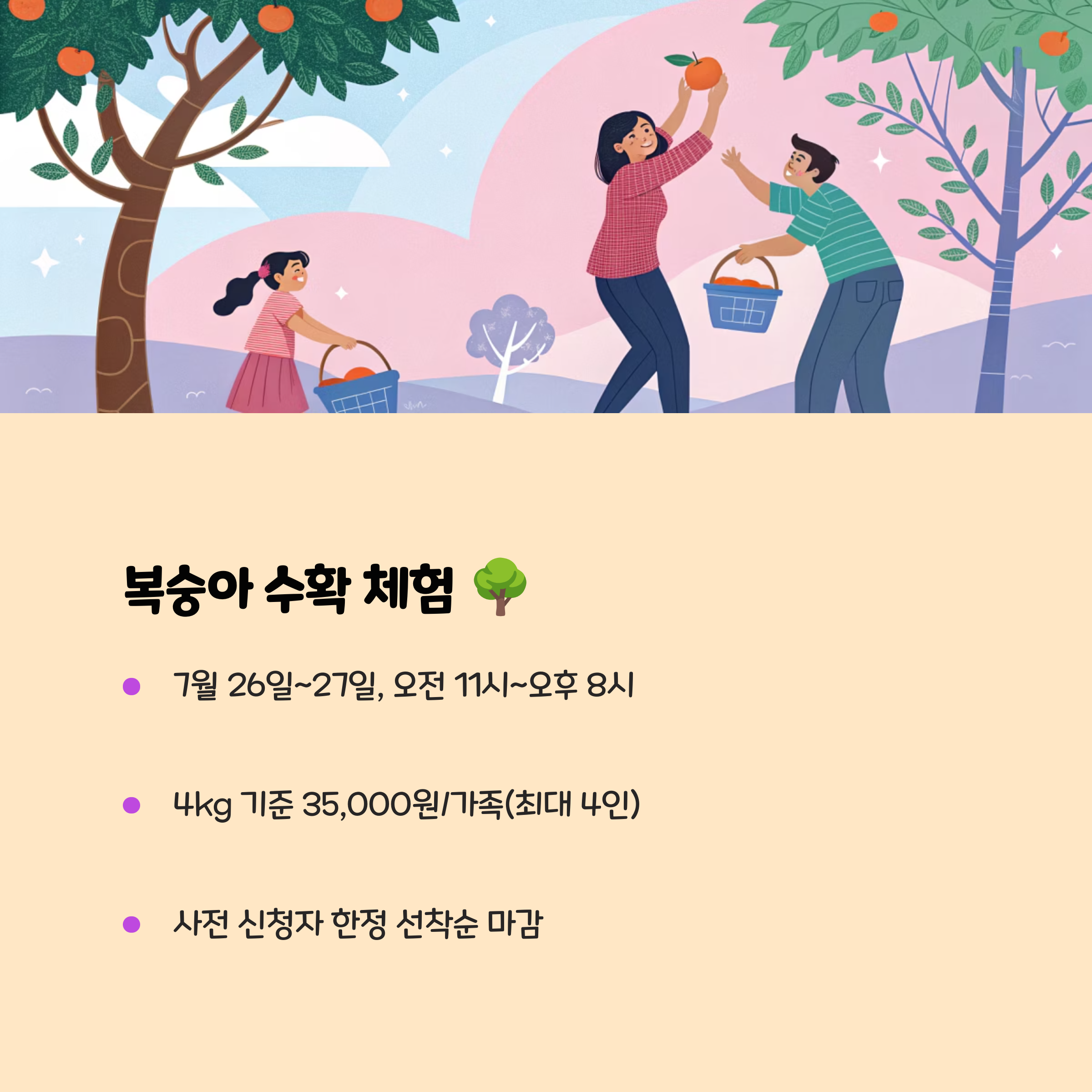 2. 복숭아 수확 체험! 🌳