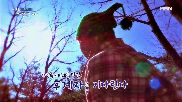 나는 자연인이다 티베트 스타일 옥순봉 고추장 피자 해처럼 바람처럼 자연인 이가영 소개 및 이승윤 출연 542회 다시보기