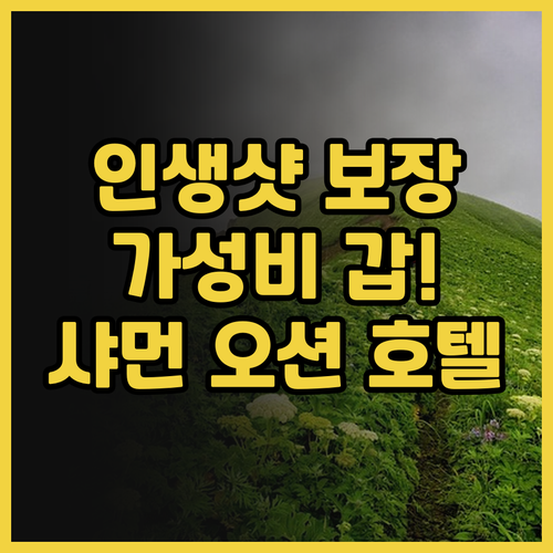 가성비 갑! 샤먼 오션 호텔 후기 인..