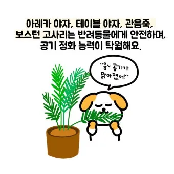 반려동물 안전 실내 식물선택 독성체크 배치높이 관리 간단 가이드_14