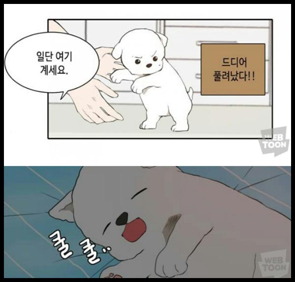 오늘도 사랑스럽개 웹툰 강아지 이미지