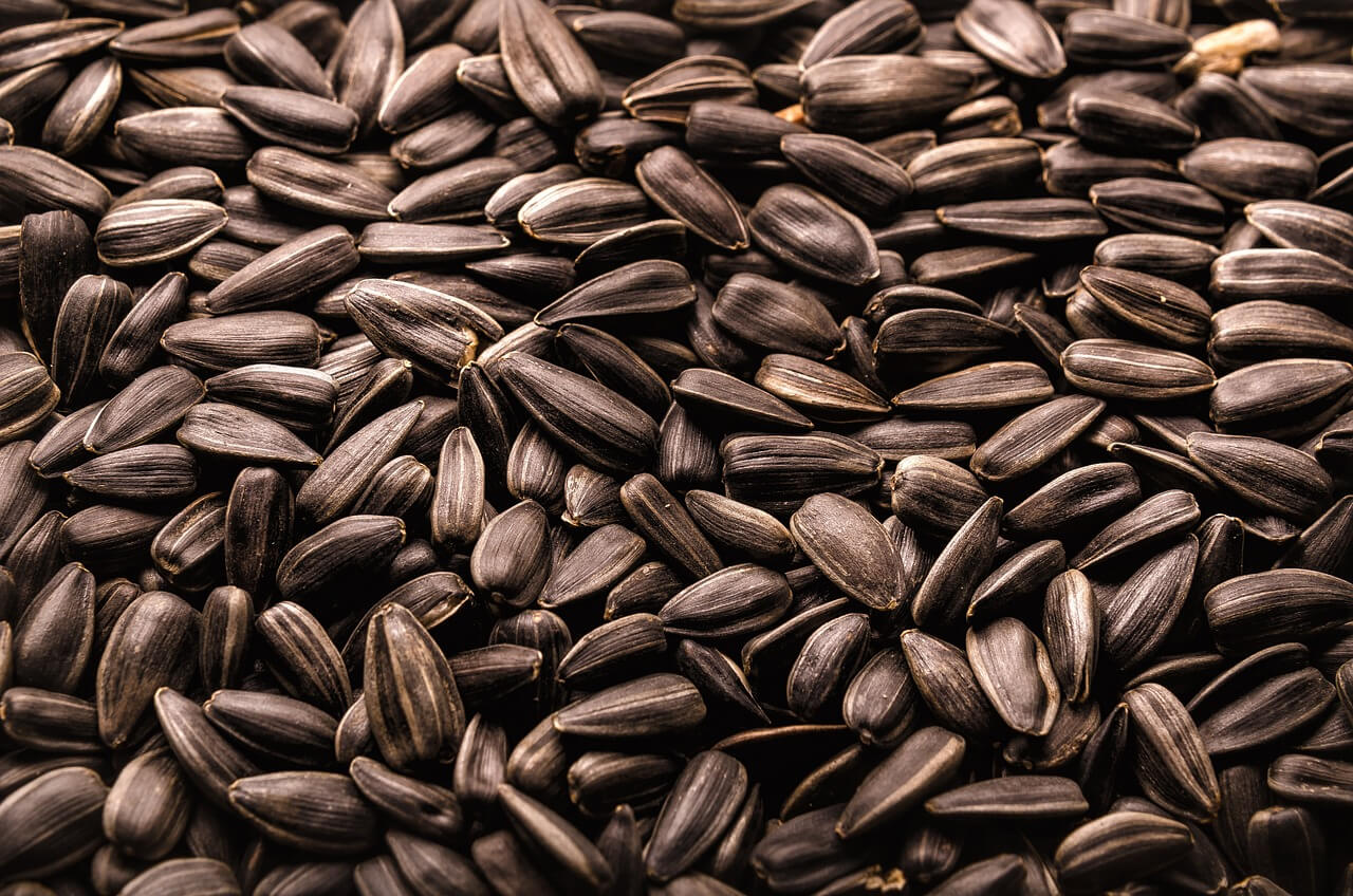 필요한 다양한 비타민과 미네랄이 풍부하게 들어 있습니다