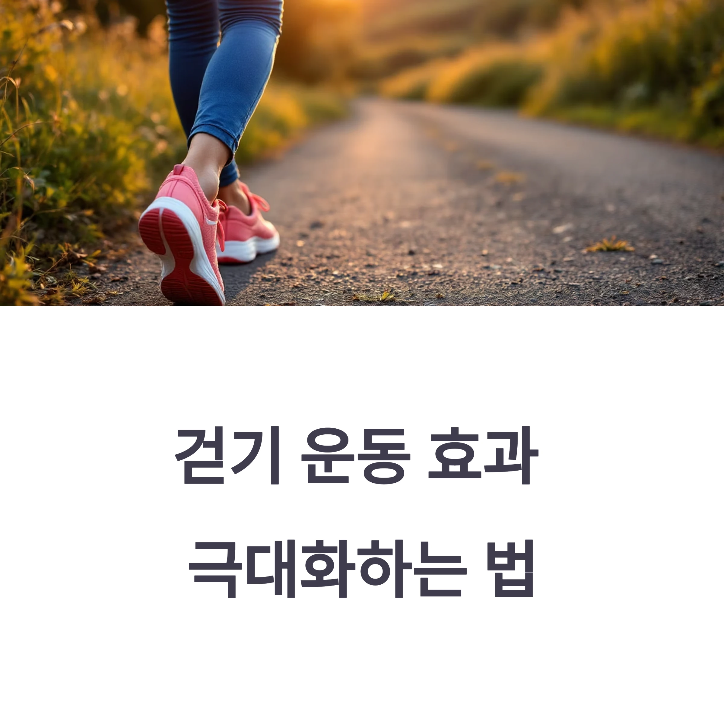 걷기운동효과