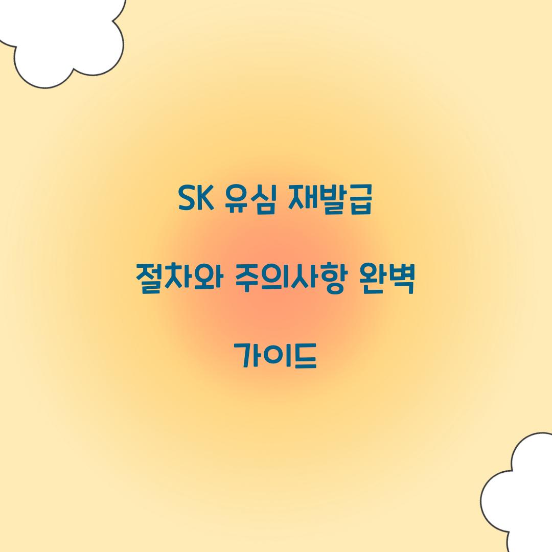 sk 유심 재발급