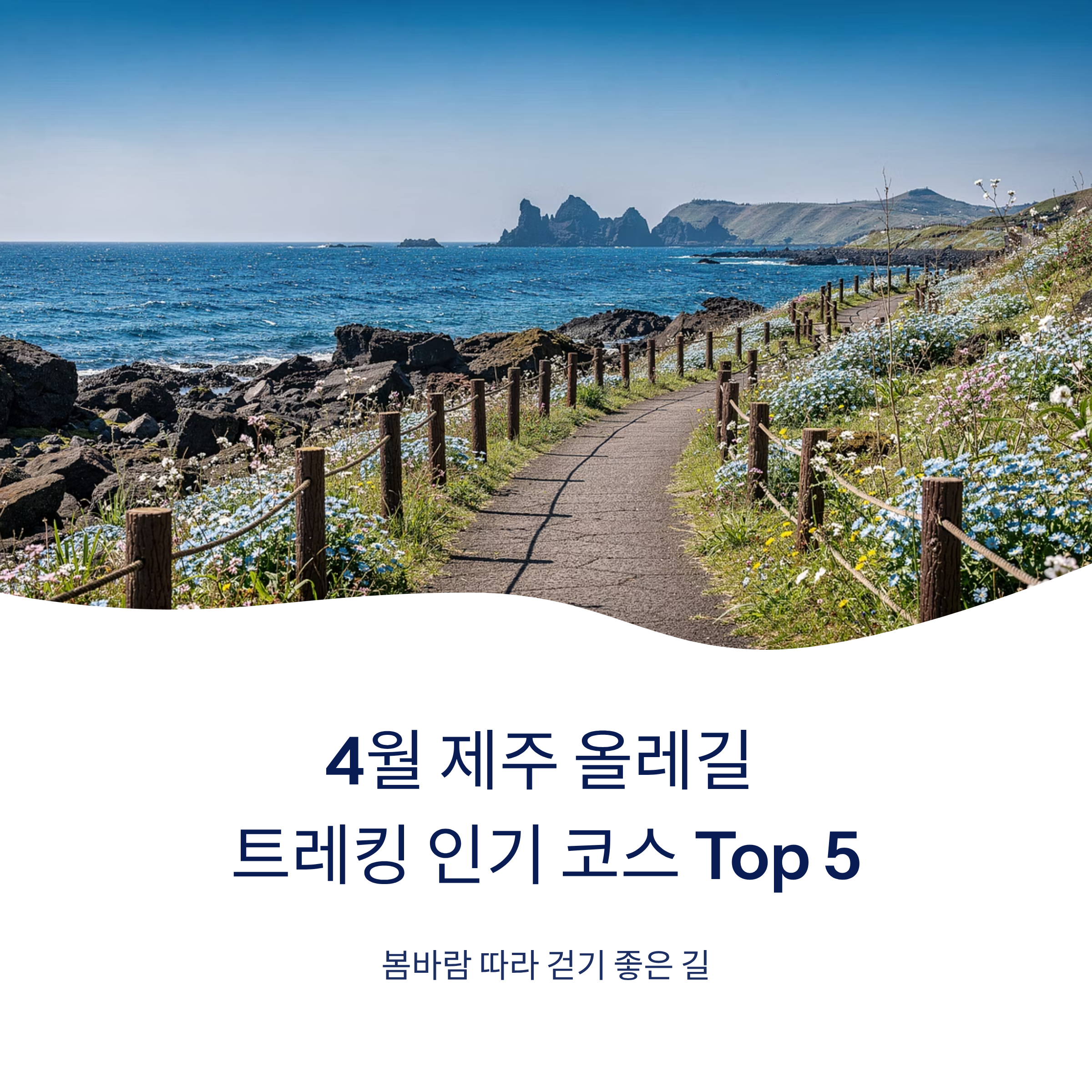 4월 제주 올레길 트레킹 인기 코스 Top 5 봄바람 따라 걷기 좋은 길