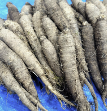 더덕의효능알아보기