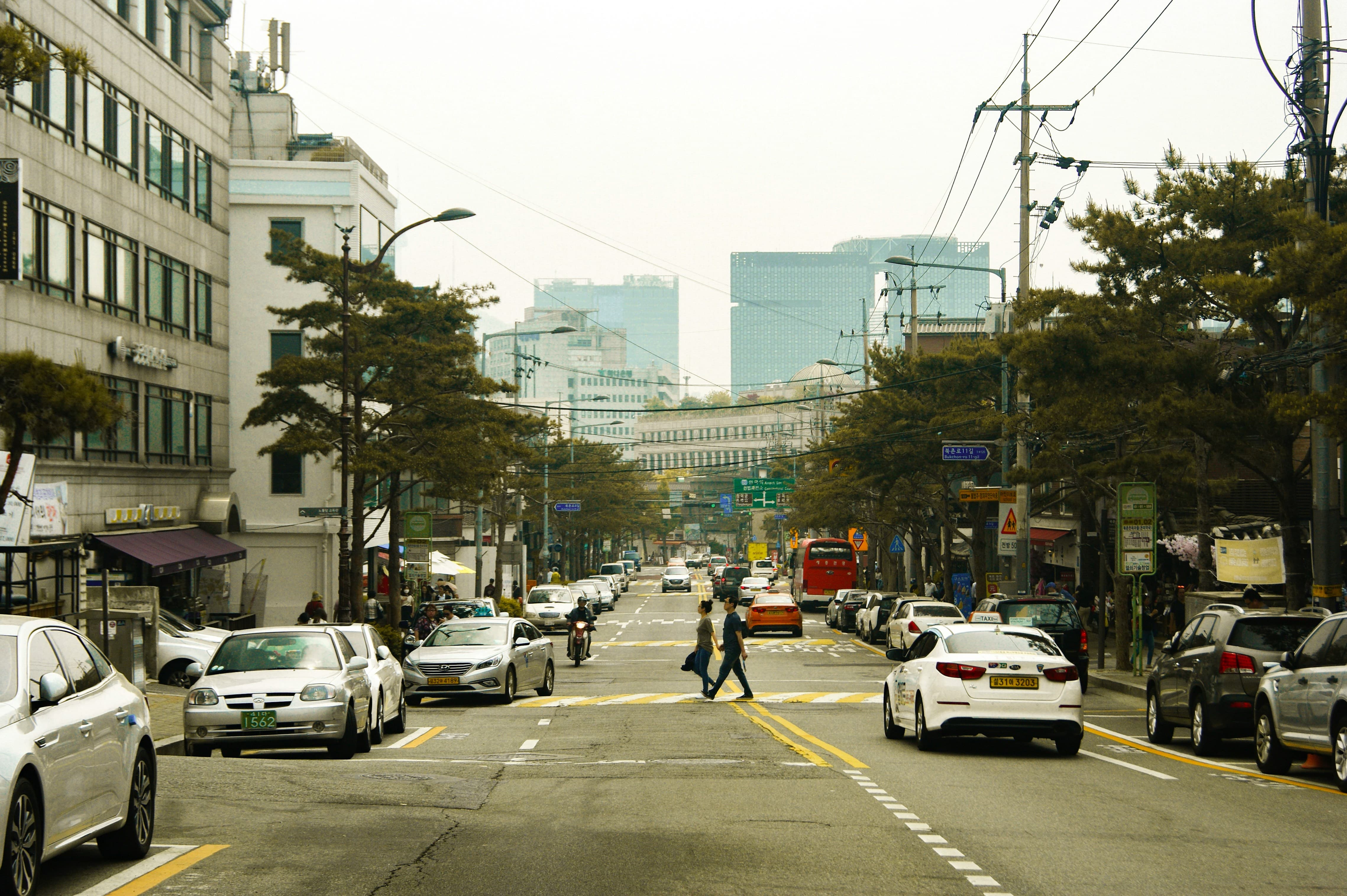 차량5부제 과태료 조회방법 요일별 제한 번호