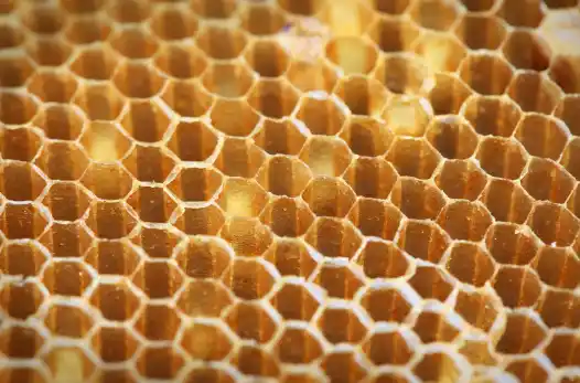 프로폴리스 효능효과 영양성분과 부작용