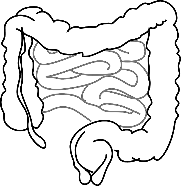 과민성 대장증후군 알아보기