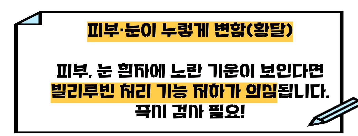 간기능 저하시 나타나는 증상