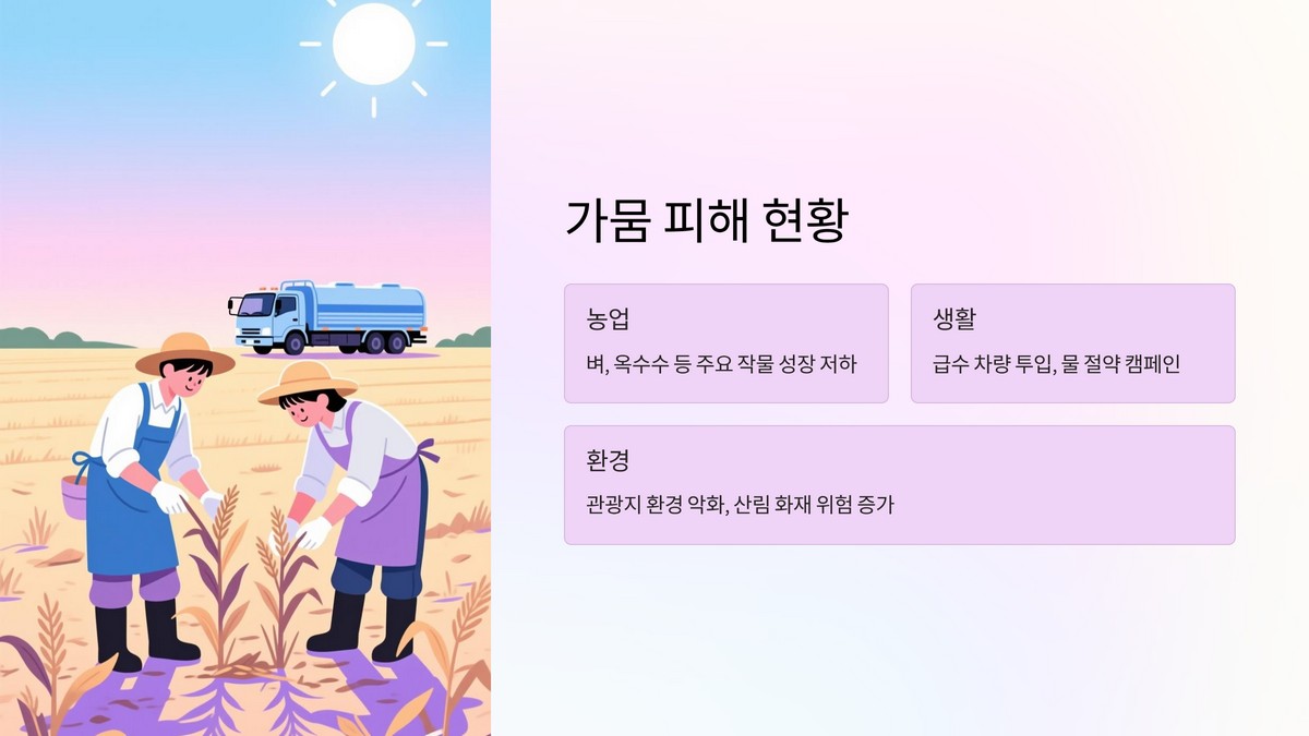 가뭄 피해 규모와 현지 실태
