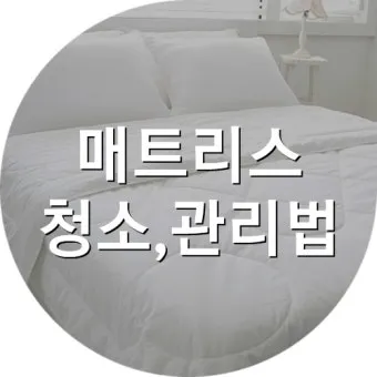 매트리스 관리 청소기 베이킹소다 회전주기 방수커버 팁_3
