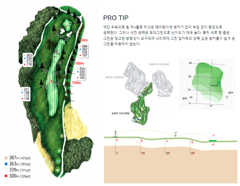 핀크스 골프클럽 동코스 8