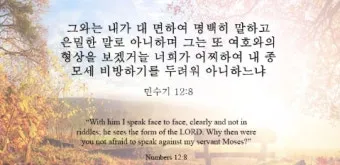 미리암 모세 누나 민수기 12장_13