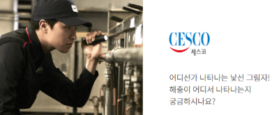 세스코 가정집 비용