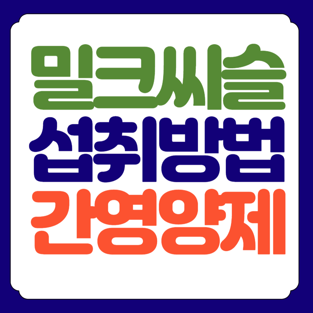 밀크씨슬 간영양제 추천 총정리