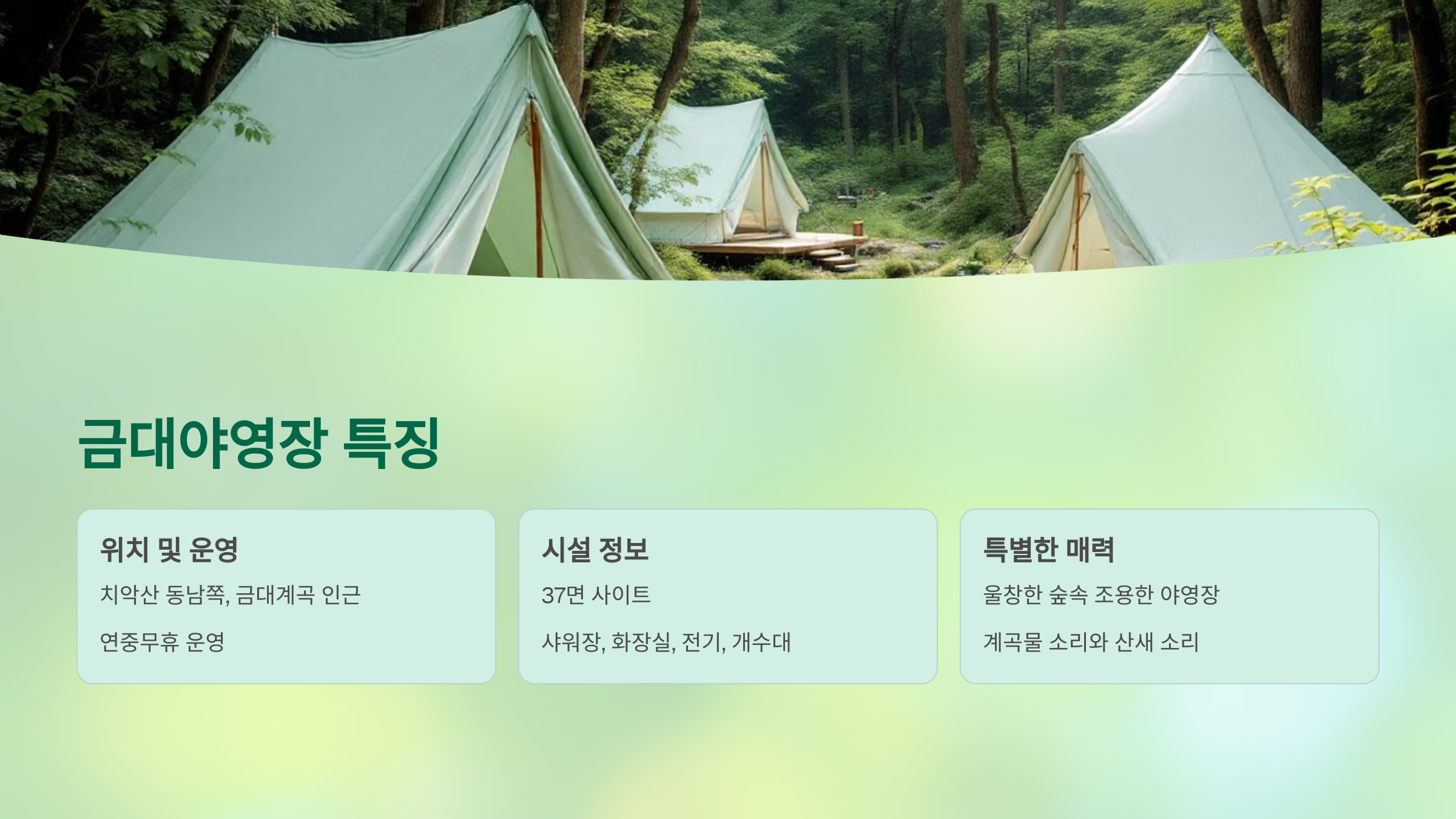 🌲치악산 금대야영장 &amp; 구룡야영장: 자연 속 힐링 캠핑 명소 완전 정복!