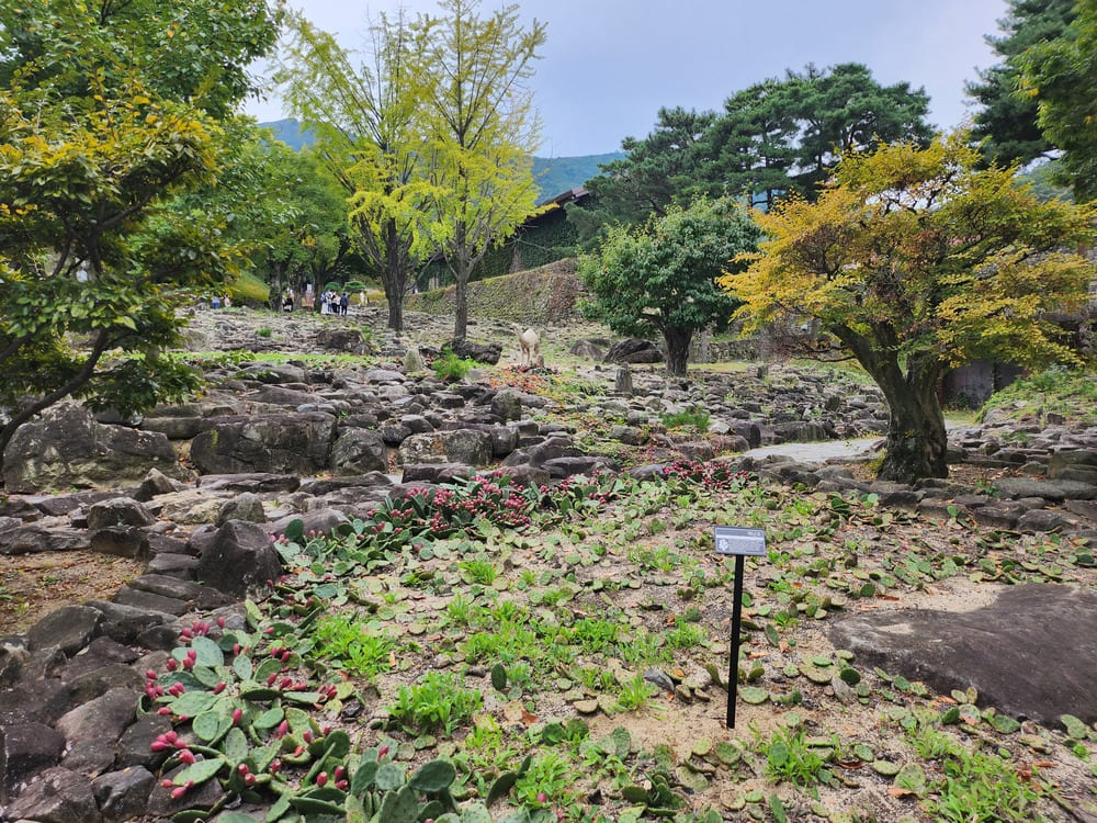 암석정원